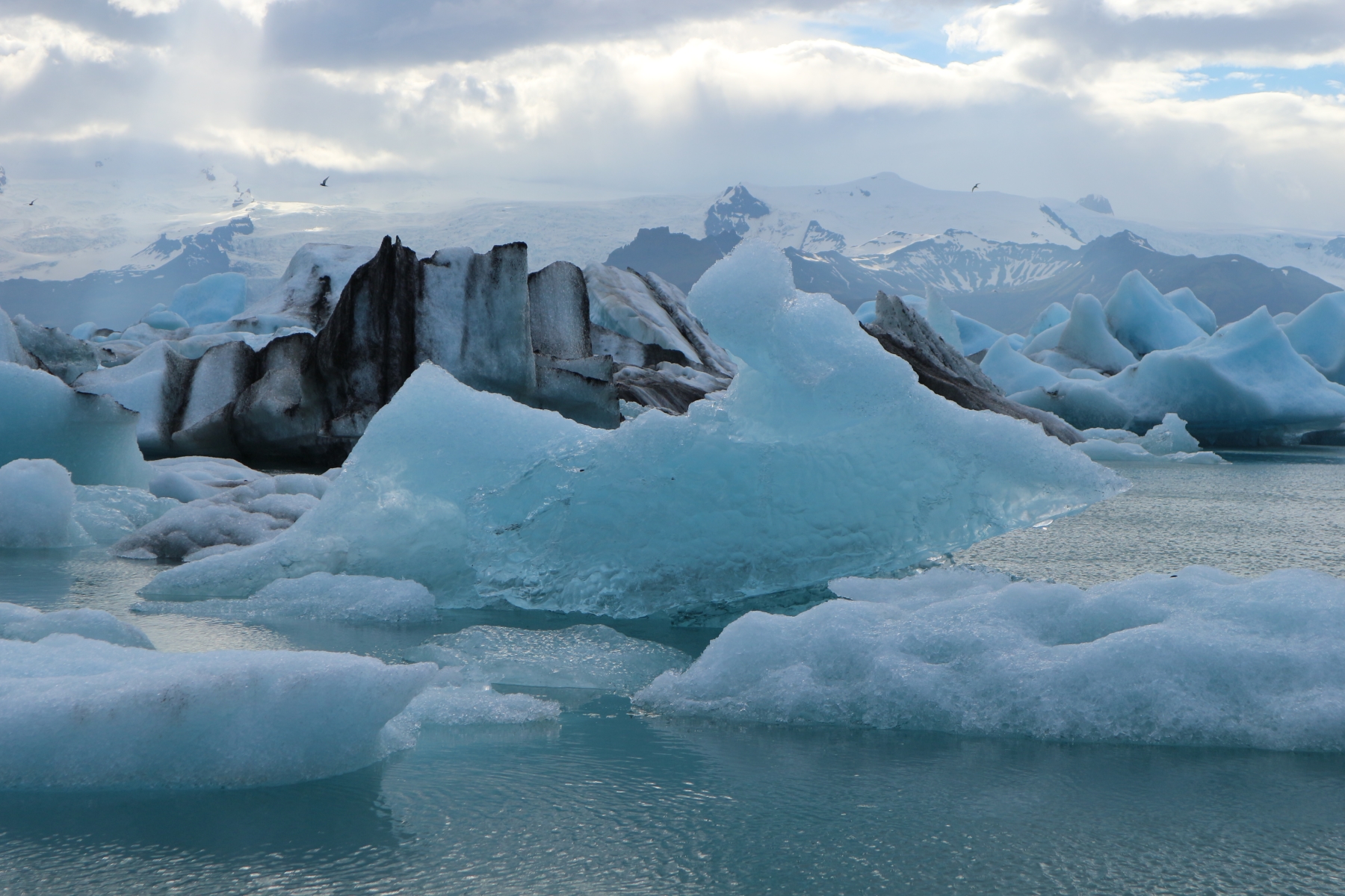 Gletscherlagune Jokulsarlon, Island