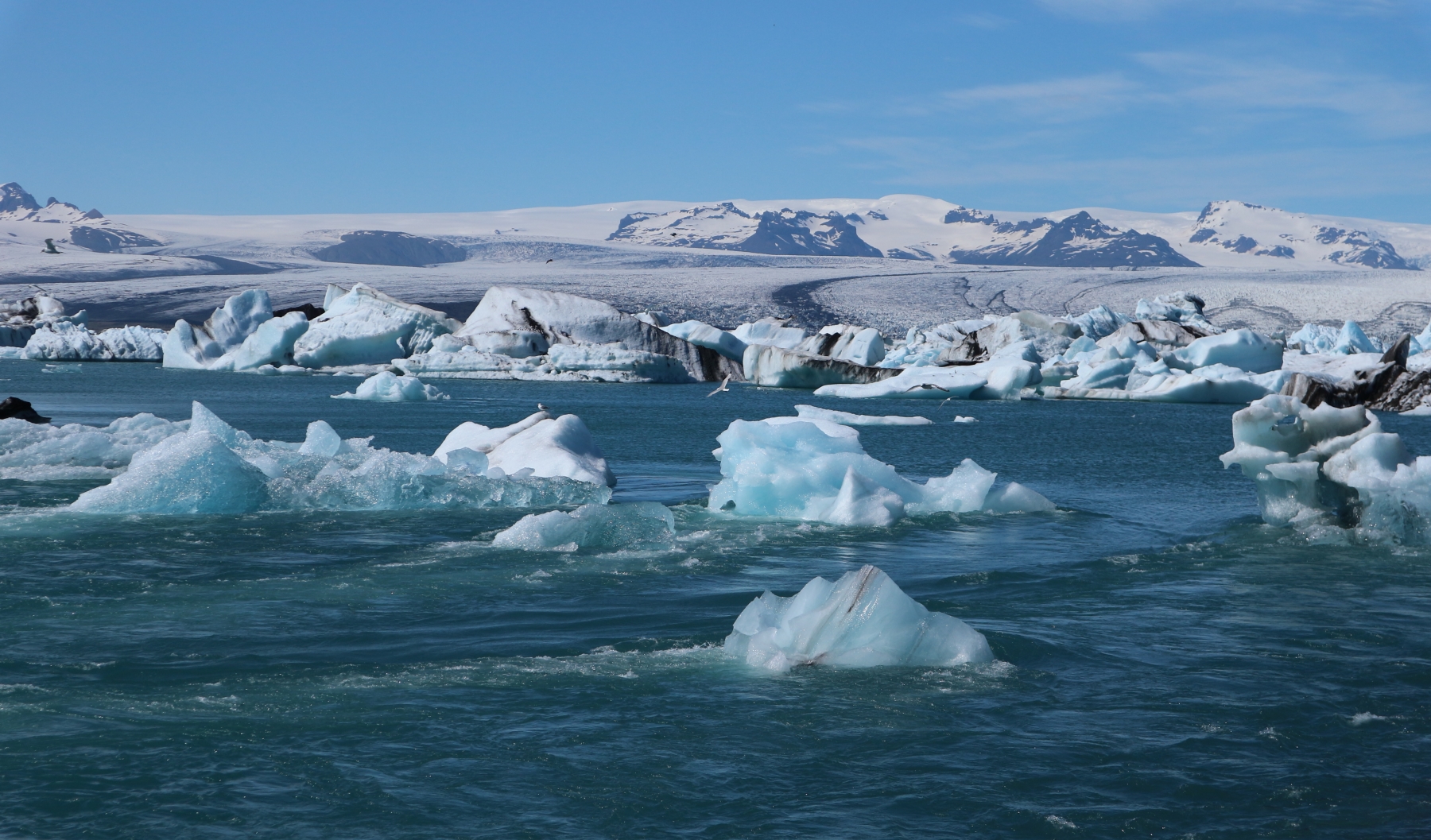 Gletscherlagune Jokulsarlon, Island
