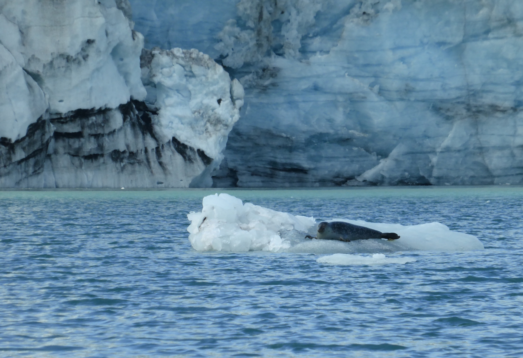 Gletscherlagune Jokulsarlon, Island
