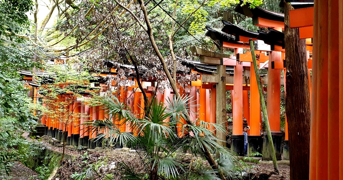 Fushimi Inari-Taisha Schrein, Kyoto/Japan