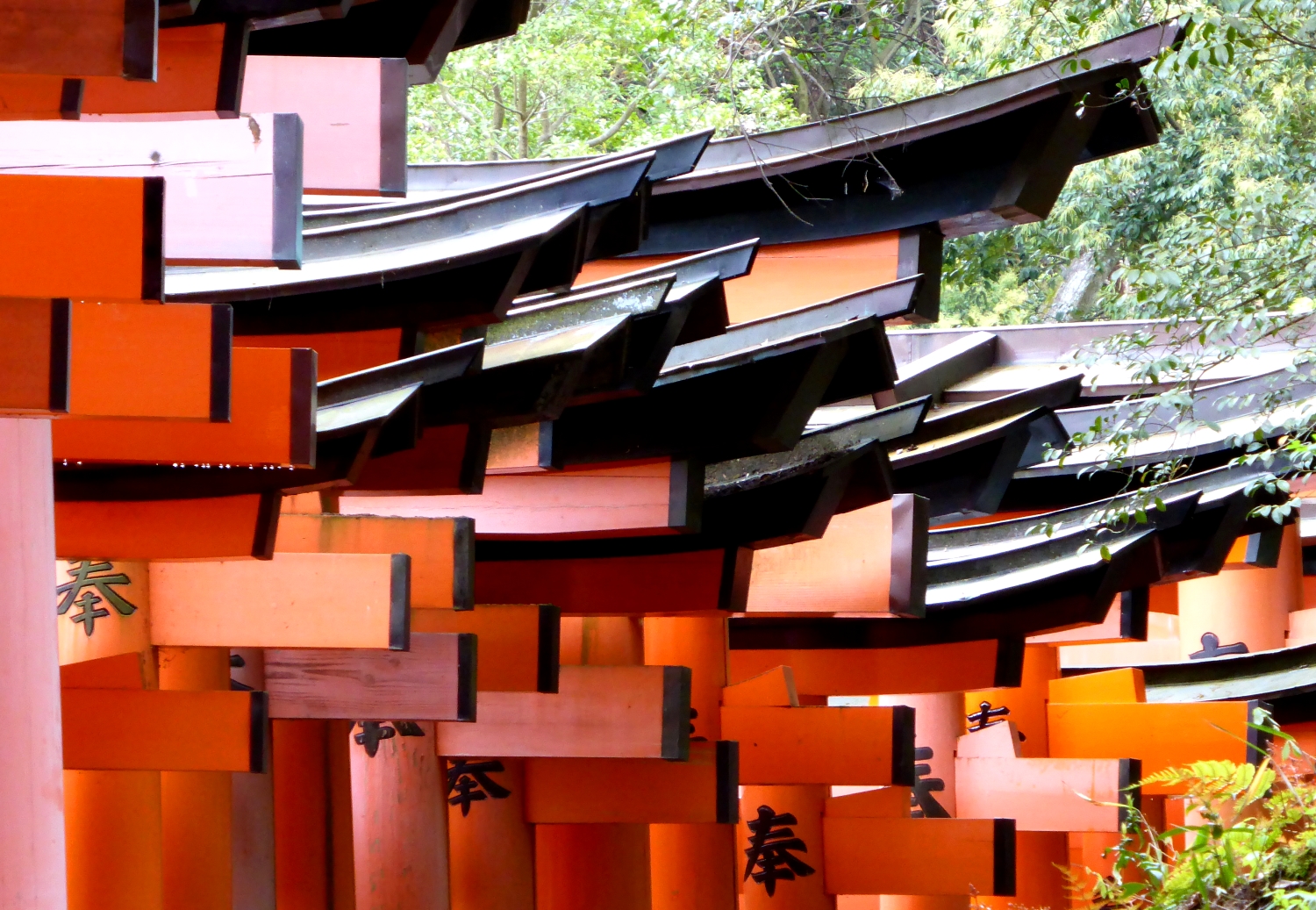 Fushimi Inari-Taisha Schrein, Kyoto/Japan