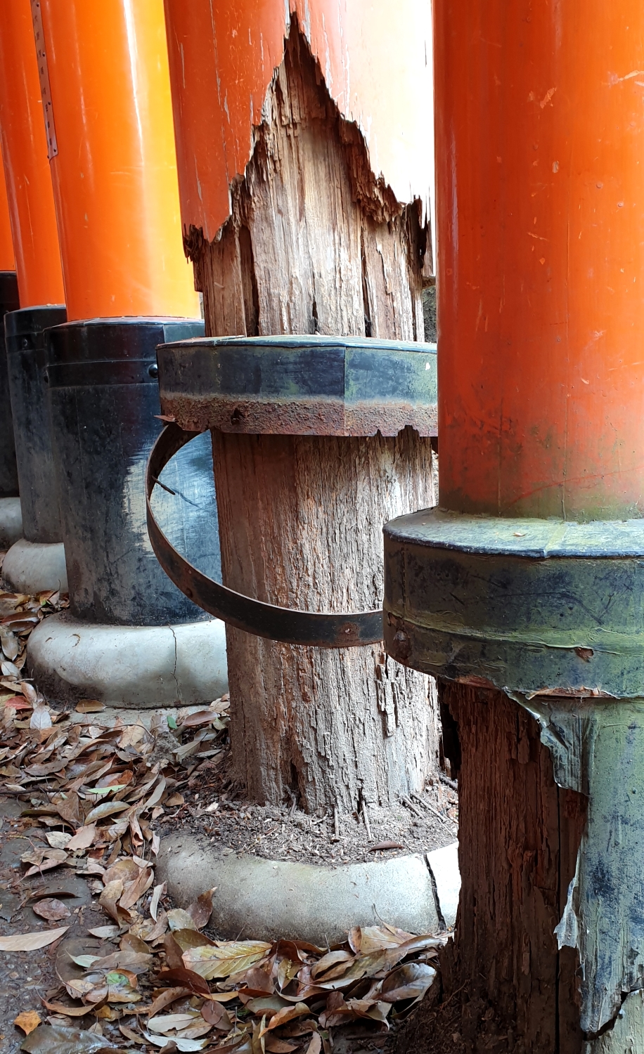 Fushimi Inari-Taisha Schrein, Kyoto/Japan